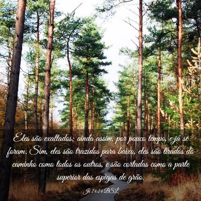 Picture 03 - Jó 24:24 BSL - Eles são exaltados; ainda assim, por pouco - Bible Verse Picture