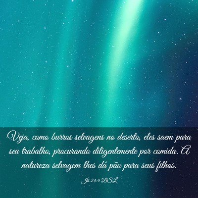 Picture 03 - Jó 24:5 BSL - Veja, como burros selvagens no deserto, eles saem - Bible Verse Picture