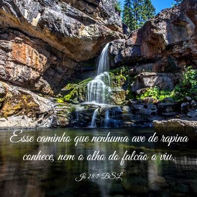 Picture 03 - Jó 28:7 BSL - Esse caminho que nenhuma ave de rapina conhece, - Bible Verse Picture