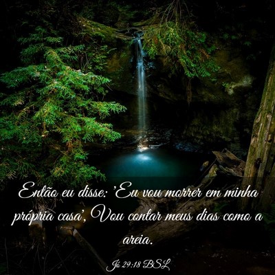 Picture 03 - Jó 29:18 BSL - Então eu disse: 'Eu vou morrer em minha própria - Bible Verse Picture