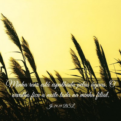 Picture 03 - Jó 29:19 BSL - Minha raiz está espalhada pelas águas. O - Bible Verse Picture