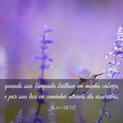 Picture 03 - Jó 29:3 BSL - quando sua lâmpada brilhou em minha cabeça, e - Bible Verse Picture