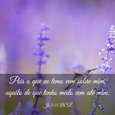 Picture 03 - Jó 3:25 BSL - Pois o que eu temo vem sobre mim, aquilo de que - Bible Verse Picture