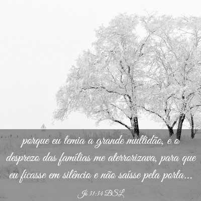 Picture 03 - Jó 31:34 BSL - porque eu temia a grande multidão, e o desprezo - Bible Verse Picture