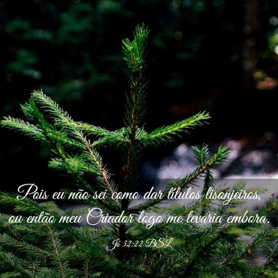 Picture 03 - Jó 32:22 BSL - Pois eu não sei como dar títulos lisonjeiros, - Bible Verse Picture