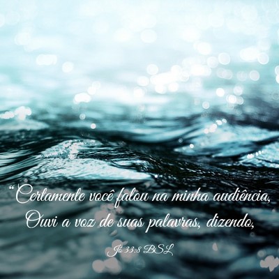 Picture 03 - Jó 33:8 BSL - “Certamente você falou na minha audiência, - Bible Verse Picture