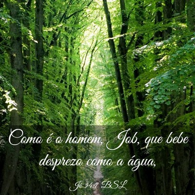 Picture 03 - Jó 34:7 BSL - Como é o homem, Job, que bebe desprezo como a - Bible Verse Picture