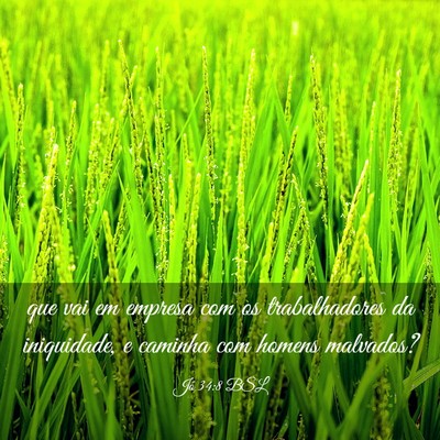Picture 03 - Jó 34:8 BSL - que vai em empresa com os trabalhadores da - Bible Verse Picture