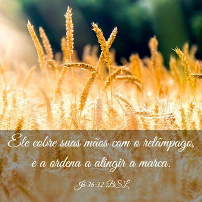 Picture 03 - Jó 36:32 BSL - Ele cobre suas mãos com o relâmpago, e a ordena - Bible Verse Picture