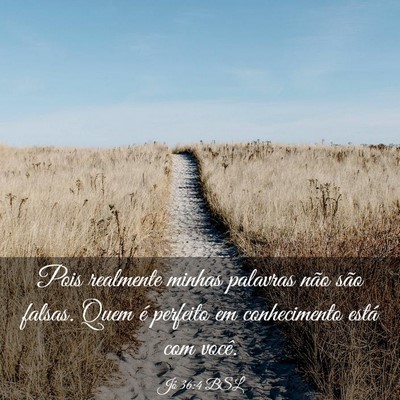 Picture 03 - Jó 36:4 BSL - Pois realmente minhas palavras não são falsas. - Bible Verse Picture