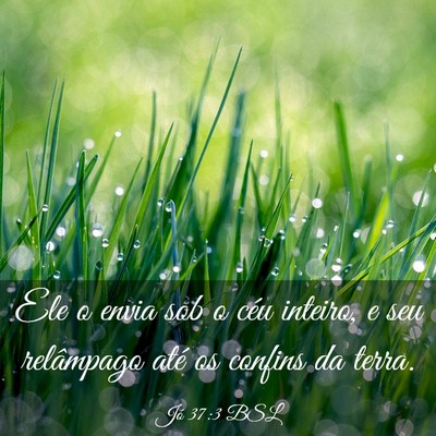 Picture 03 - Jó 37:3 BSL - Ele o envia sob o céu inteiro, e seu relâmpago - Bible Verse Picture