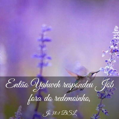 Picture 03 - Jó 38:1 BSL - Então Yahweh respondeu Job fora do - Bible Verse Picture