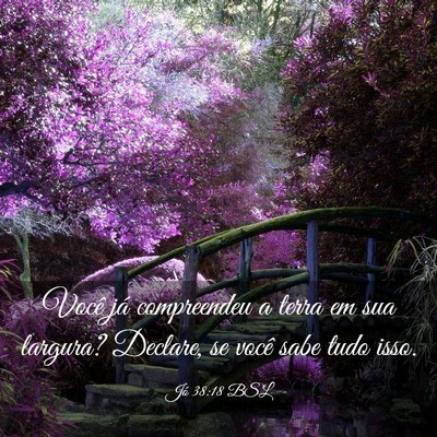 Picture 03 - Jó 38:18 BSL - Você já compreendeu a terra em sua largura? - Bible Verse Picture