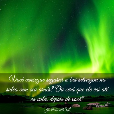 Picture 03 - Jó 39:10 BSL - Você consegue segurar o boi selvagem no sulco - Bible Verse Picture