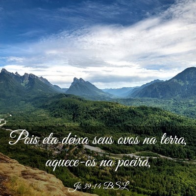 Picture 03 - Jó 39:14 BSL - Pois ela deixa seus ovos na terra, aquece-os na - Bible Verse Picture
