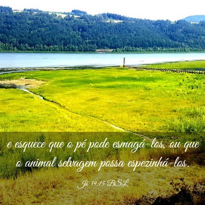Picture 03 - Jó 39:15 BSL - e esquece que o pé pode esmagá-los, ou que o - Bible Verse Picture