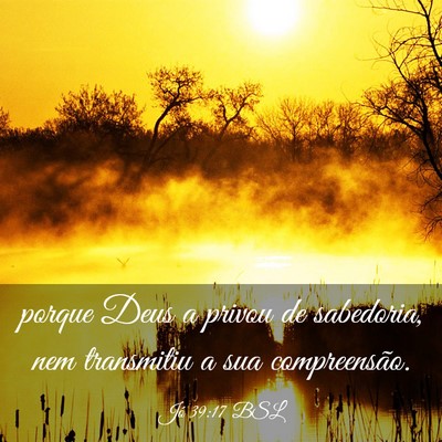 Picture 03 - Jó 39:17 BSL - porque Deus a privou de sabedoria, nem transmitiu - Bible Verse Picture