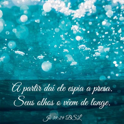 Picture 03 - Jó 39:29 BSL - A partir daí ele espia a presa. Seus olhos o - Bible Verse Picture