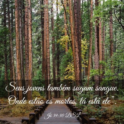 Picture 03 - Jó 39:30 BSL - Seus jovens também sugam sangue. Onde estão os - Bible Verse Picture