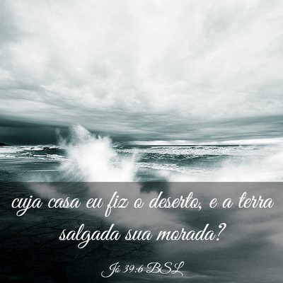 Picture 03 - Jó 39:6 BSL - cuja casa eu fiz o deserto, e a terra salgada sua - Bible Verse Picture