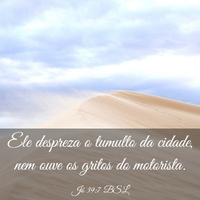 Picture 03 - Jó 39:7 BSL - Ele despreza o tumulto da cidade, nem ouve os - Bible Verse Picture