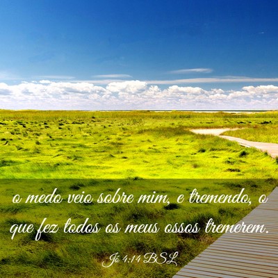 Picture 03 - Jó 4:14 BSL - o medo veio sobre mim, e tremendo, o que fez - Bible Verse Picture