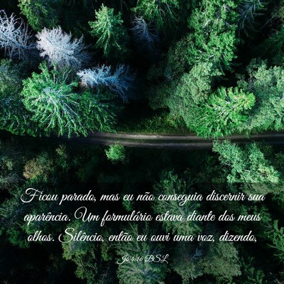 Picture 03 - Jó 4:16 BSL - Ficou parado, mas eu não conseguia discernir sua - Bible Verse Picture