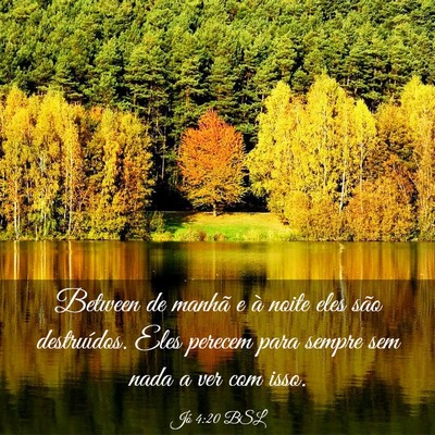 Picture 03 - Jó 4:20 BSL - Between de manhã e à noite eles são - Bible Verse Picture