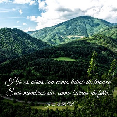 Picture 03 - Jó 40:18 BSL - His os ossos são como tubos de bronze. Seus - Bible Verse Picture
