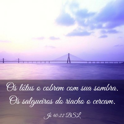 Picture 03 - Jó 40:22 BSL - Os lótus o cobrem com sua sombra. Os salgueiros - Bible Verse Picture