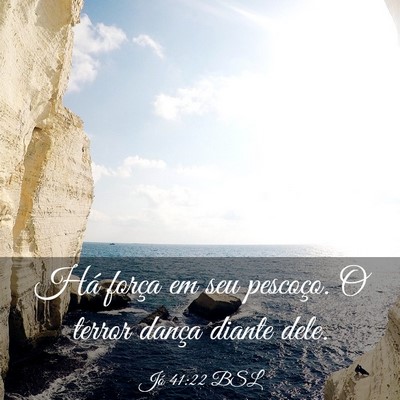 Picture 03 - Jó 41:22 BSL - Há força em seu pescoço. O terror dança - Bible Verse Picture
