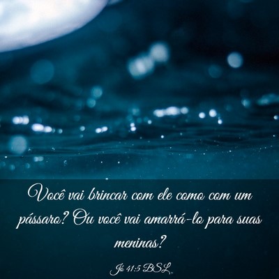 Picture 03 - Jó 41:5 BSL - Você vai brincar com ele como com um pássaro? - Bible Verse Picture