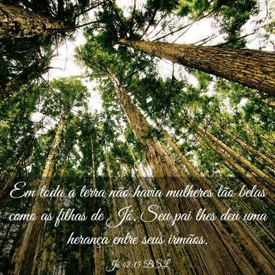 Picture 03 - Jó 42:15 BSL - Em toda a terra não havia mulheres tão belas - Bible Verse Picture