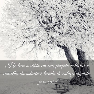 Picture 03 - Jó 5:13 BSL - He leva o sábio em sua própria astúcia; o - Bible Verse Picture
