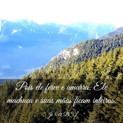Picture 03 - Jó 5:18 BSL - Pois ele ferve e amarra. Ele machuca e suas mãos - Bible Verse Picture