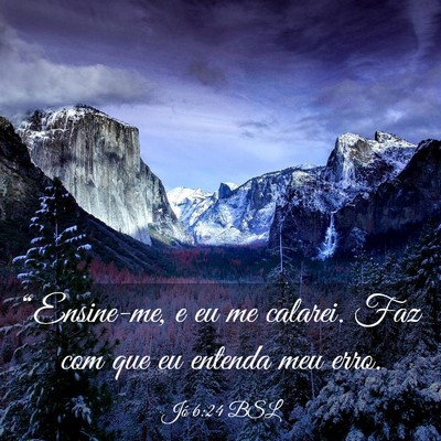 Picture 03 - Jó 6:24 BSL - “Ensine-me, e eu me calarei. Faz com que eu - Bible Verse Picture