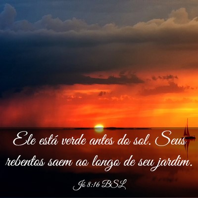 Picture 03 - Jó 8:16 BSL - Ele está verde antes do sol. Seus rebentos saem - Bible Verse Picture