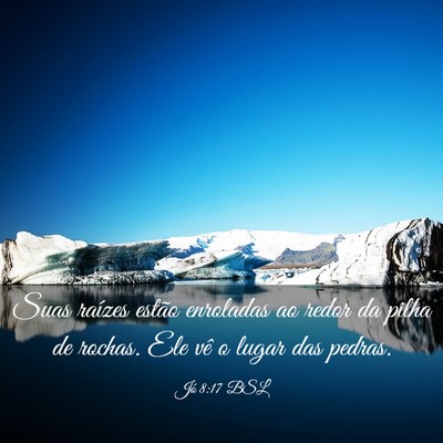 Picture 03 - Jó 8:17 BSL - Suas raízes estão enroladas ao redor da pilha - Bible Verse Picture