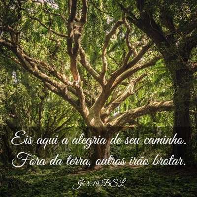 Picture 03 - Jó 8:19 BSL - Eis aqui a alegria de seu caminho. Fora da terra, - Bible Verse Picture