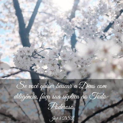 Picture 03 - Jó 8:5 BSL - Se você quiser buscar a Deus com diligência, - Bible Verse Picture