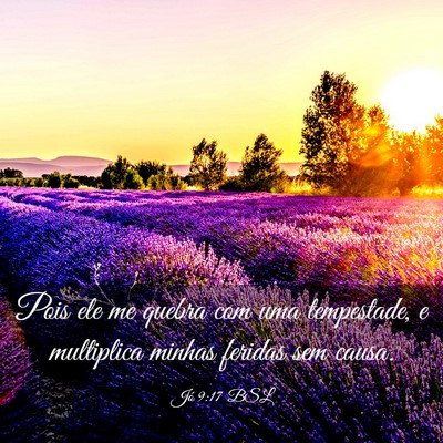 Picture 03 - Jó 9:17 BSL - Pois ele me quebra com uma tempestade, e - Bible Verse Picture