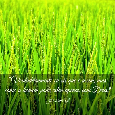 Picture 03 - Jó 9:2 BSL - “Verdadeiramente eu sei que é assim, mas como - Bible Verse Picture