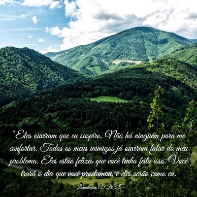 Picture 03 - Lamentações 1:21 BSL - “Eles ouviram que eu suspiro. Não há ninguém - Bible Verse Picture