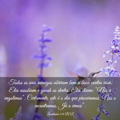 Picture 03 - Lamentações 2:16 BSL - Todos os seus inimigos abriram bem a boca contra - Bible Verse Picture
