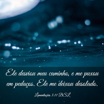 Picture 03 - Lamentações 3:11 BSL - Ele desviou meu caminho, e me puxou em pedaços. - Bible Verse Picture