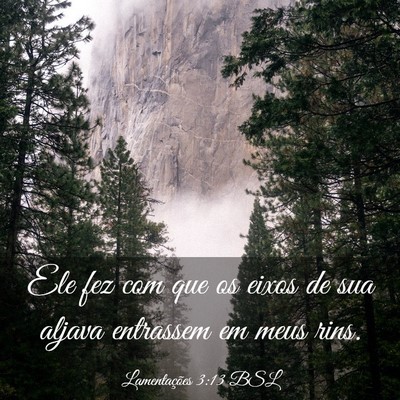 Picture 03 - Lamentações 3:13 BSL - Ele fez com que os eixos de sua aljava entrassem - Bible Verse Picture