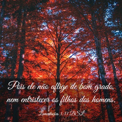 Picture 03 - Lamentações 3:33 BSL - Pois ele não aflige de bom grado, nem - Bible Verse Picture