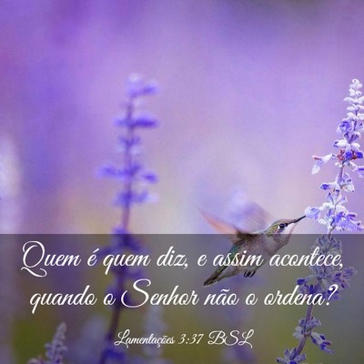 Picture 03 - Lamentações 3:37 BSL - Quem é quem diz, e assim acontece, quando o - Bible Verse Picture