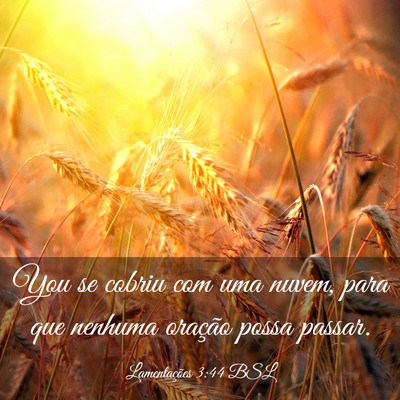 Picture 03 - Lamentações 3:44 BSL - You se cobriu com uma nuvem, para que nenhuma - Bible Verse Picture