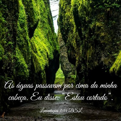 Picture 03 - Lamentações 3:54 BSL - As águas passavam por cima da minha cabeça. Eu - Bible Verse Picture